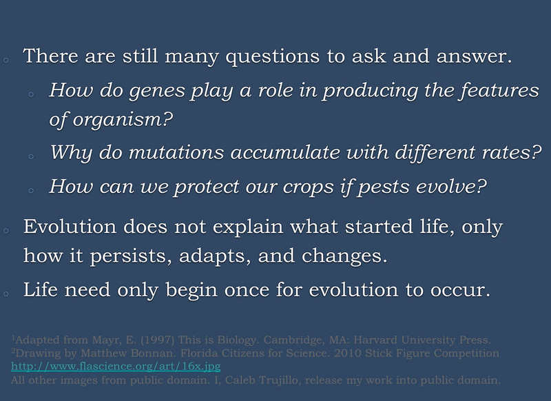 Illustration for article titled Top five misconceptions about evolution according to science